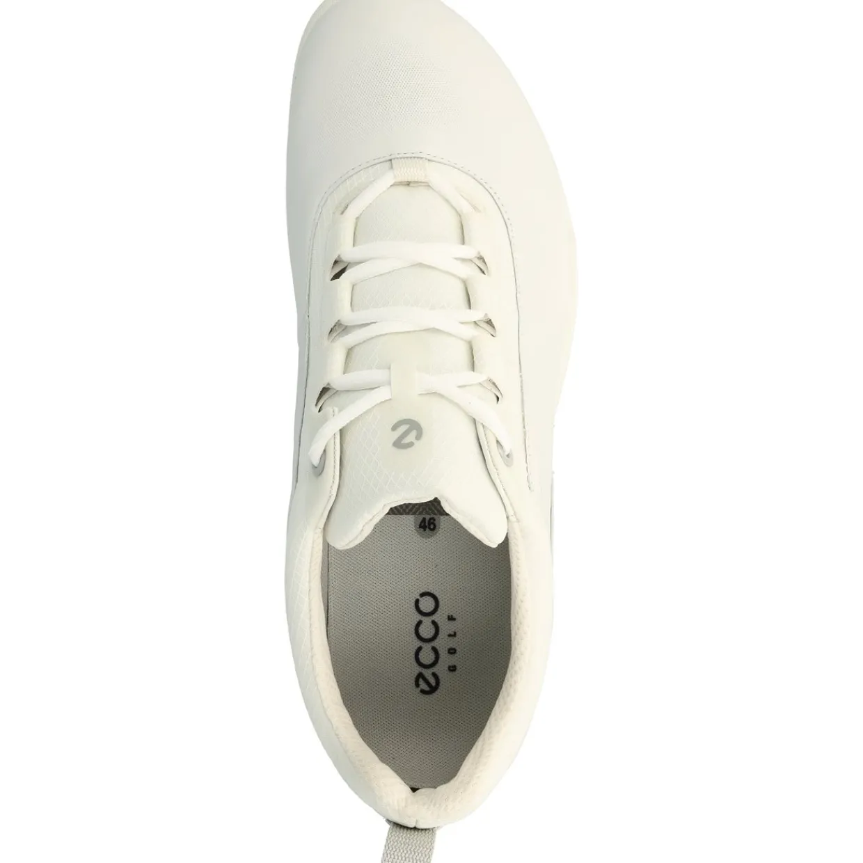 ECCO Spikeless Golf Shoes|Mens Golf Shoes^Golf Biom Hybrid BNY Spikeless Golf Shoes
