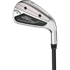 Callaway Ladies Golf Clubs^Used Great Big Bertha 23 Iron Set Golf Clubs